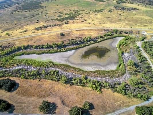 Chatsworth Ecology Pond - 2015