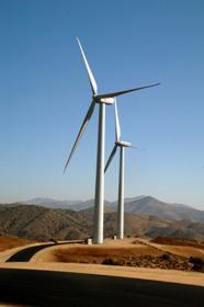 Photo from ground looking towards two Power Windmills