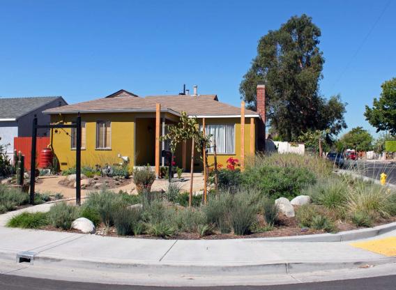Stormwater Capture - Elmer House Image