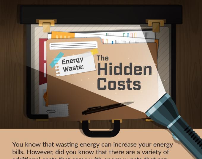 Energy Waste: The Hidden Costs Infographic