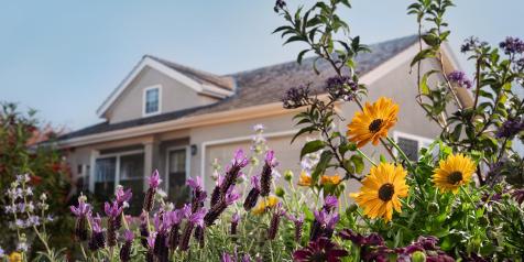 Cheerful Man and Smiling Woman Stand in their new water tolerant front yard