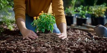 Planting Email